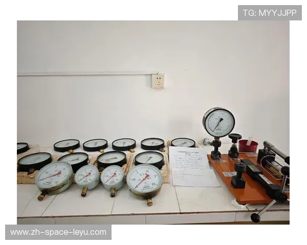 监管部门于当前阶段优化频谱管理 确保了大规模无线集成设备的运行安全