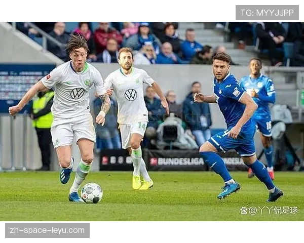 霍芬海姆3-2逆转战胜沃尔夫斯堡 霍芬海姆3-2逆转战胜沃尔夫斯堡