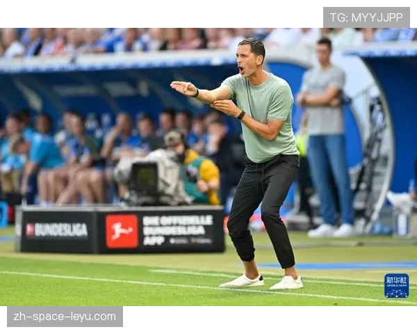 法兰克福主场1-3不敌霍芬海姆